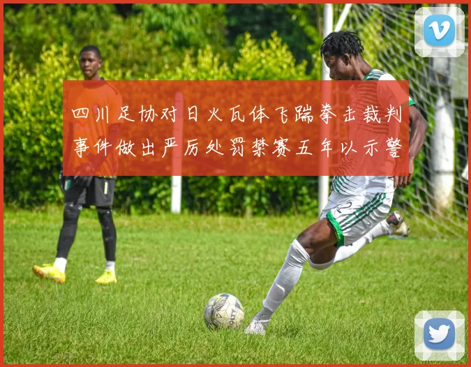 四川足协对日火瓦体飞踹拳击裁判事件做出严厉处罚禁赛五年以示警戒