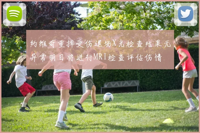 约维奇重摔受伤退场X光检查结果无异常明日将进行MRI检查评估伤情