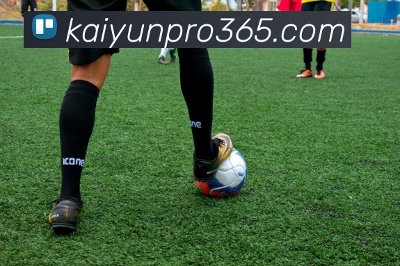 开云体育APP 高清赛事图